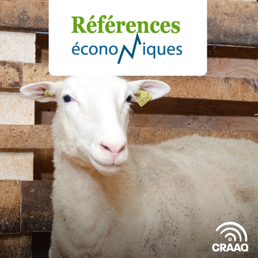 [PREF0273] Ovins - Prix - 2025