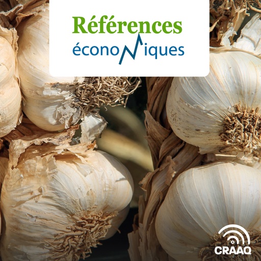 [PREF0377] Ail petite surface - Budget d'exploitation - 2023