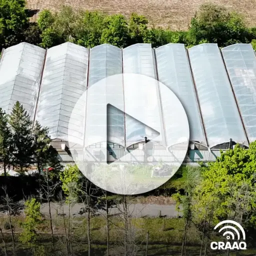 [PVIN0334] Les défis de la production maraîchère en région nordique