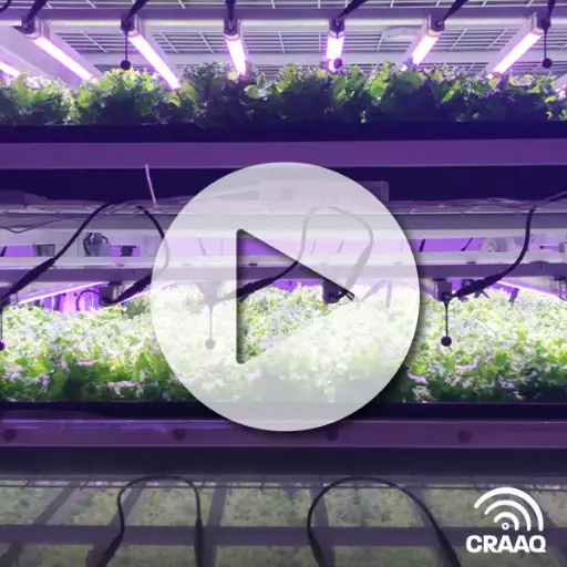 [PVIN0335] La petite histoire de la première ferme verticale commerciale au Québec