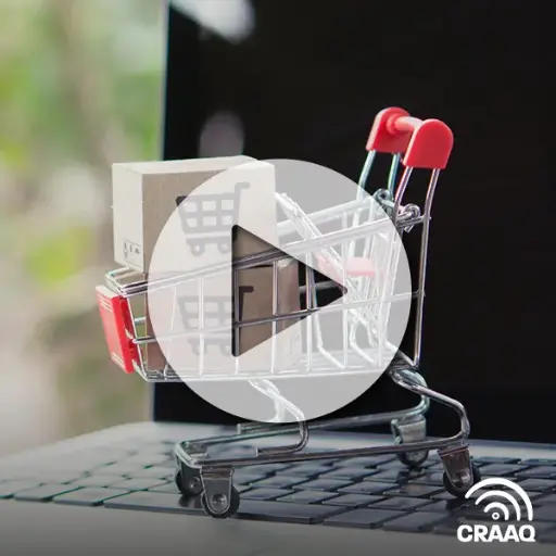 [PVIN0344] Commerce électronique : gérer la performance de son commerce électronique