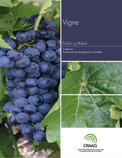 [PERA0102-18PDF] Fiche synthèse - Vigne (PDF)