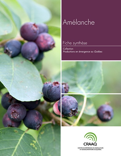 [PERA0104-01PDF] Fiche synthèse - Amélanche (PDF)
