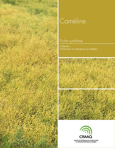 [PERA0104-03PDF] Fiche synthèse - Caméline (PDF)