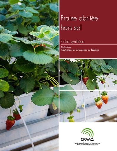 [PERA0104-09PDF] Fiche synthèse - Fraises hors sol (PDF)