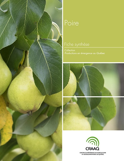 [PERA0104-14PDF] Fiche synthèse - Poire (PDF)