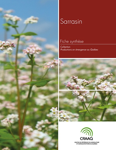 [PERA0102-01PDF] Fiche synthèse - Sarrasin (PDF)