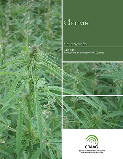 [PERA0102-12PDF] Fiche synthèse - Chanvre (PDF)