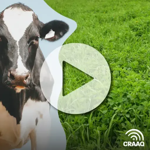 [PVIN0459] Combiner le sylvopastoralisme et la gestion adaptative multiparcelle pour favoriser le stockage de carbone et la biodiversité