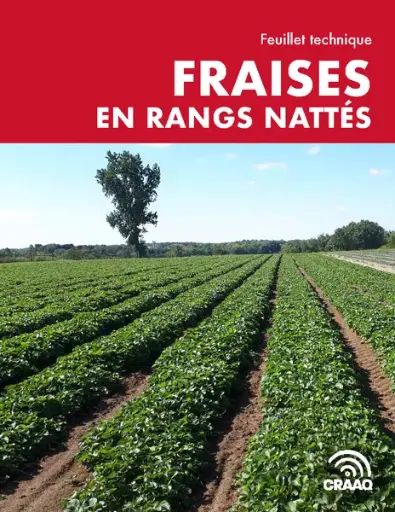 [PTF003PUB-01] Feuillet technique : Fraises en rangs nattés