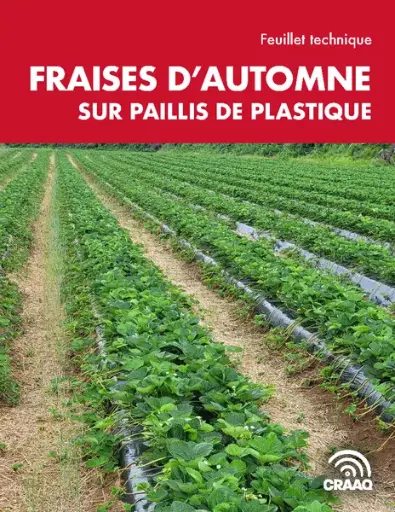 [PTF003PUB-02PDF] Feuillet technique : Fraises d'automne sur paillis de plastique (PDF) 