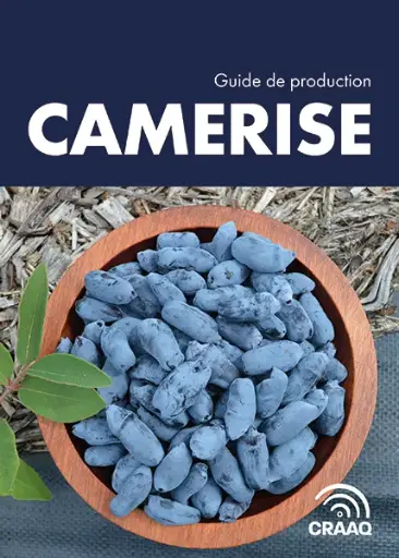[PTF002PUB-PDF] Guide de production : Camerise (PDF)